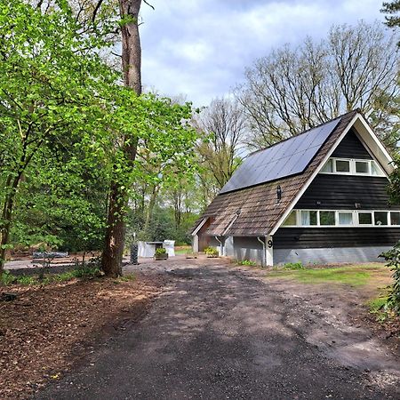 Natuurhuisje Meppen Zewnętrze zdjęcie