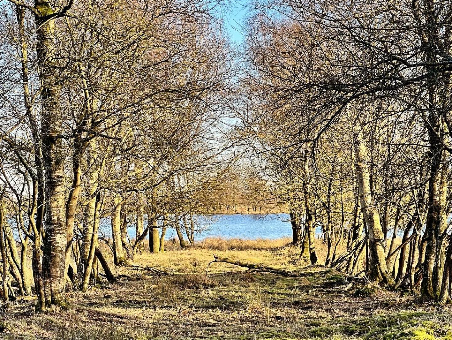 Natuurhuisje Meppen Zewnętrze zdjęcie