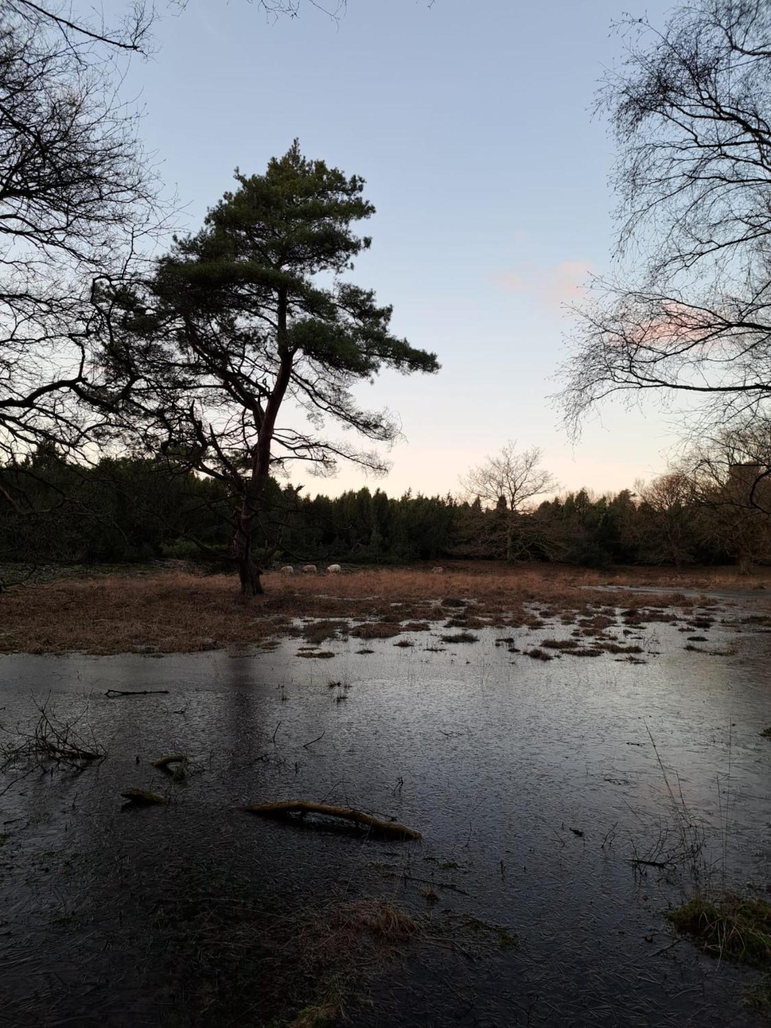 Natuurhuisje Meppen Zewnętrze zdjęcie