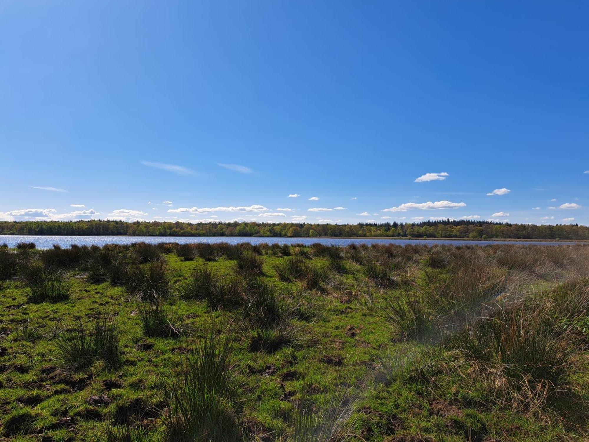 Natuurhuisje Meppen Zewnętrze zdjęcie