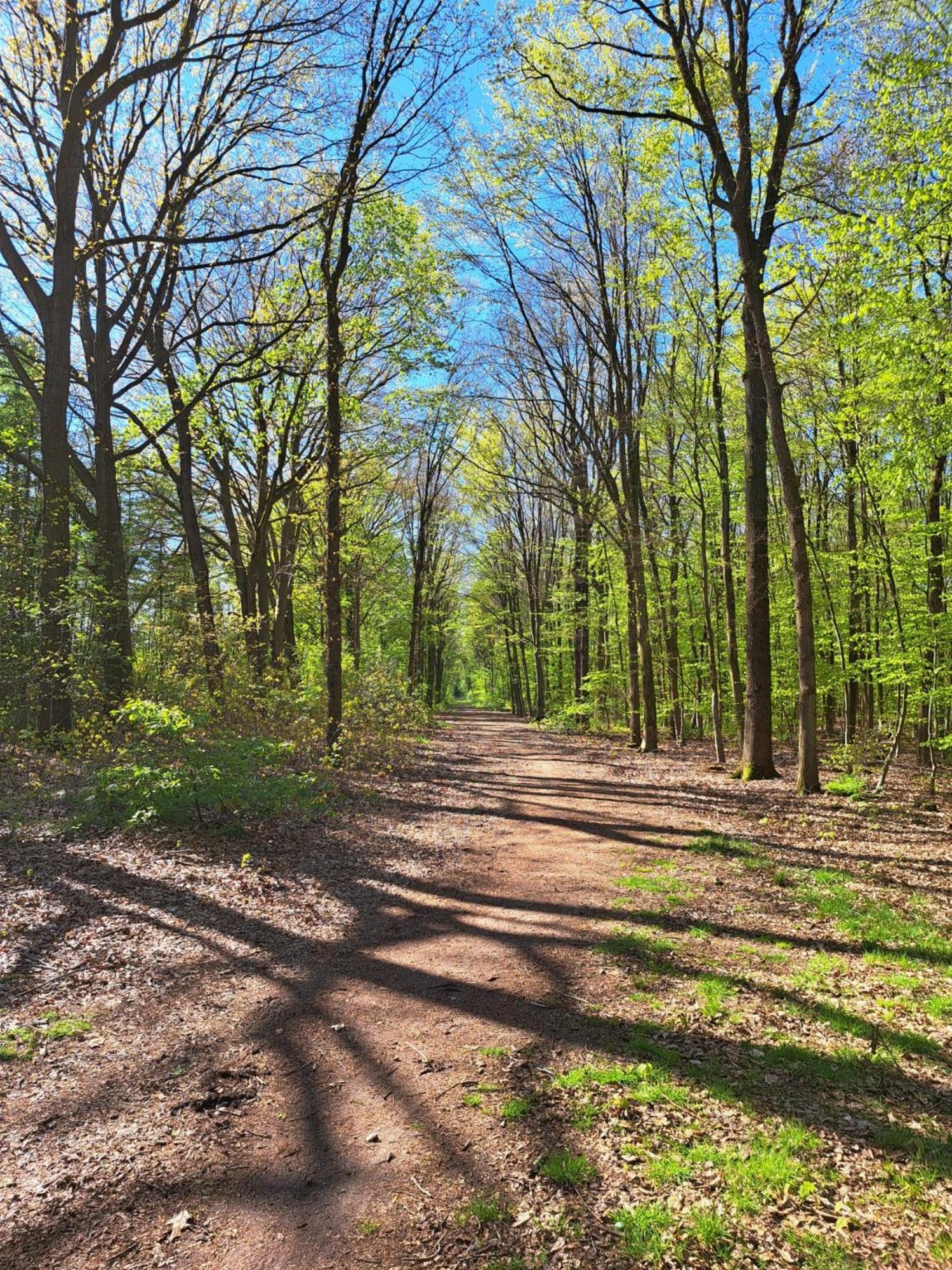 Natuurhuisje Meppen Zewnętrze zdjęcie